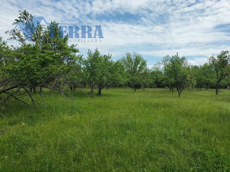 Casă individuală cu 4 camere cu Teren 2300 Mp în Stâlpeni