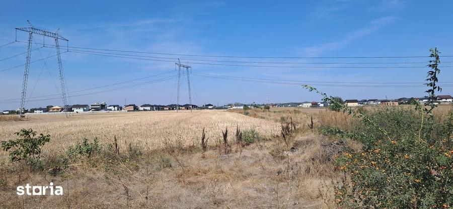 Teren de 12817 mp, în Berceni