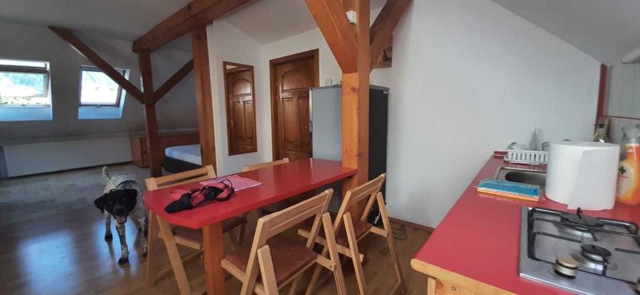 Apartament cu 2 camere decomandat în Drumul Carului
