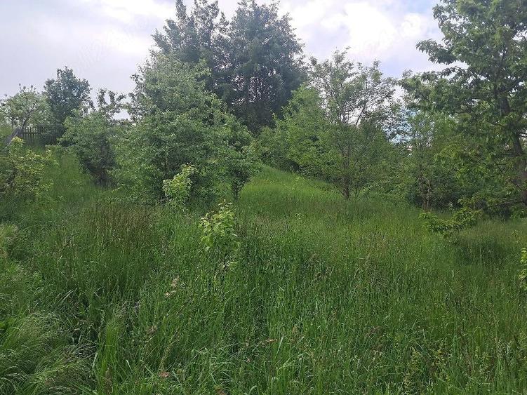 Teren de 4034 mp, în Văleni-Dâmbovița