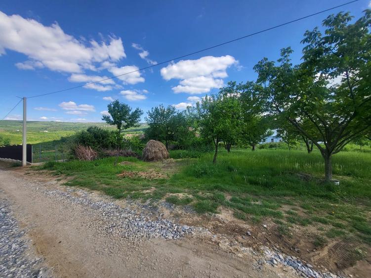 Teren Construcții intravilan de 900 mp, în Bârnova