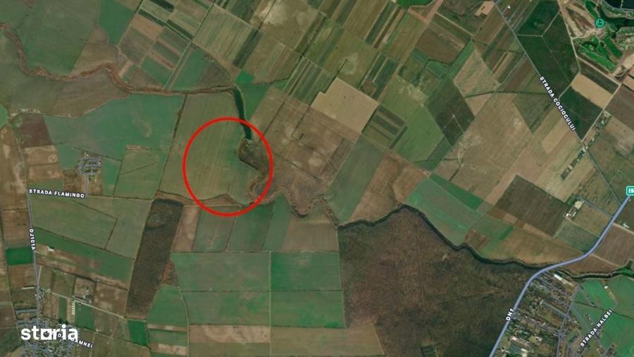 Investitie - Teren extravilan 3 ha langa Padurea Oracu - 1