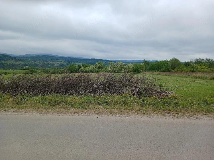Teren de 5000 mp, în Țigăneștii de Criș