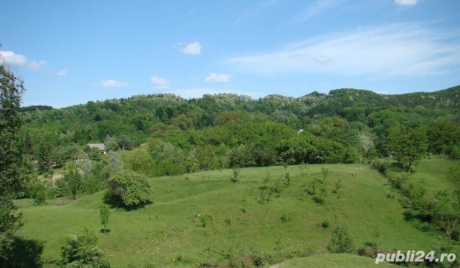 Teren de 5800 mp, în Valea