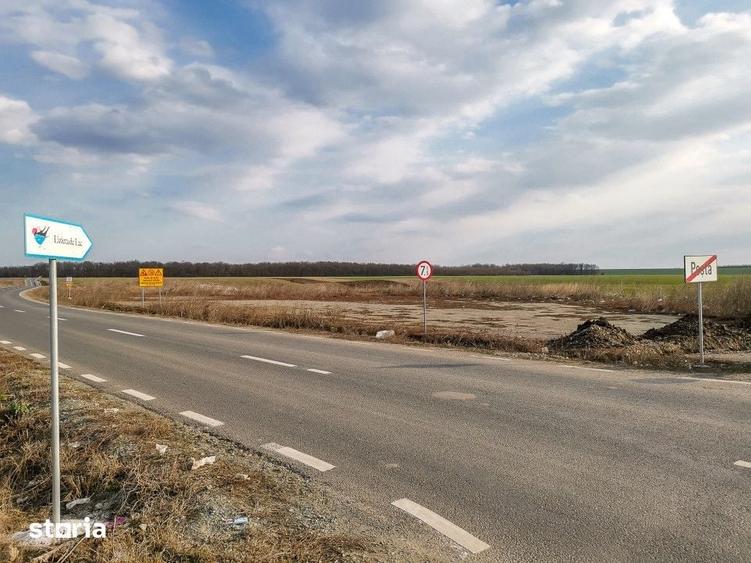Teren de 13368 mp, în Cernica