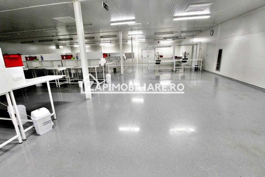 Spațiu comercial, de 1,000 mp, în Crăiești