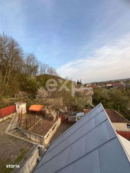 Casa P+E si Spatiu Comercial Centru Manga, Comuna Voinesti-Valea - 12