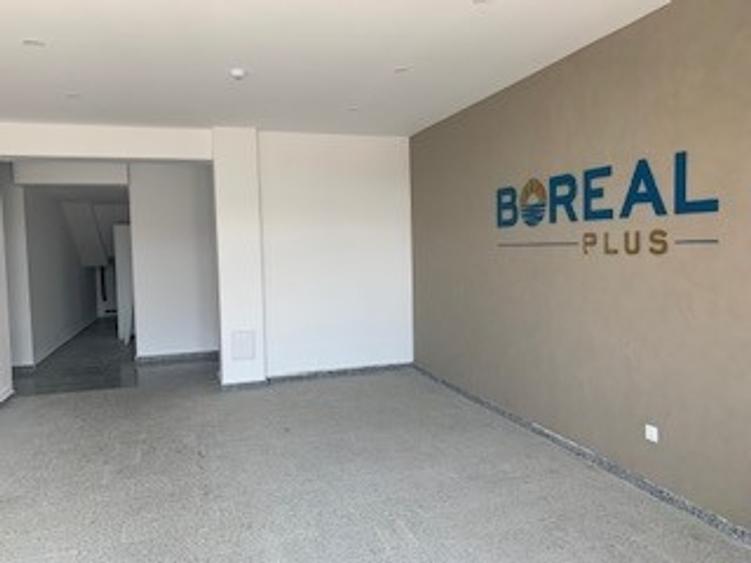 Apartament cu 2 camere decomandat în Boreal