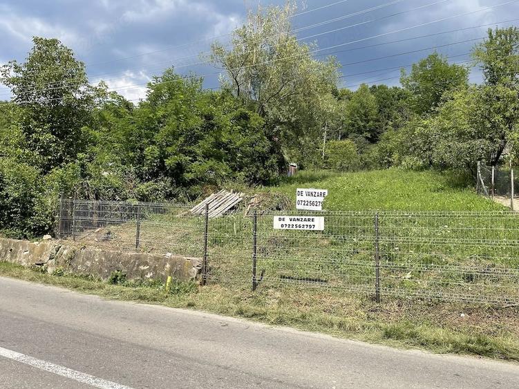 Teren de 4160 mp, în Provița de Sus