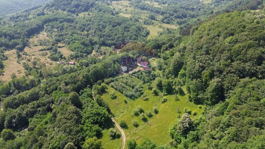 Casă cu 10 camere cu Teren 24700 Mp în Berchezoaia