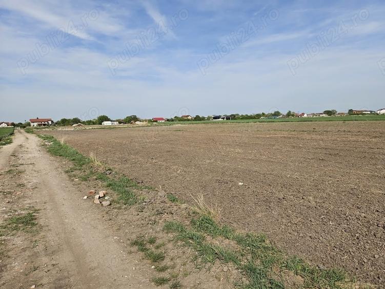 Teren de 994 mp, în Covaci