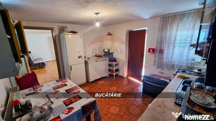 Casă cu 3 camere cu Teren 3724 Mp în Borlești