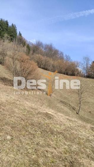 Teren agricol extravilan de 5000 mp, în Rucăr