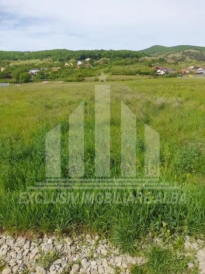 Teren Construcții intravilan de 5738 mp, în Micești