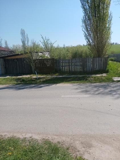 Teren de 700 mp, în Băcălești