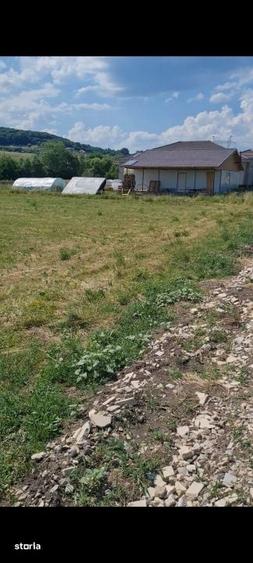 Teren de 3700 mp, în Baciu