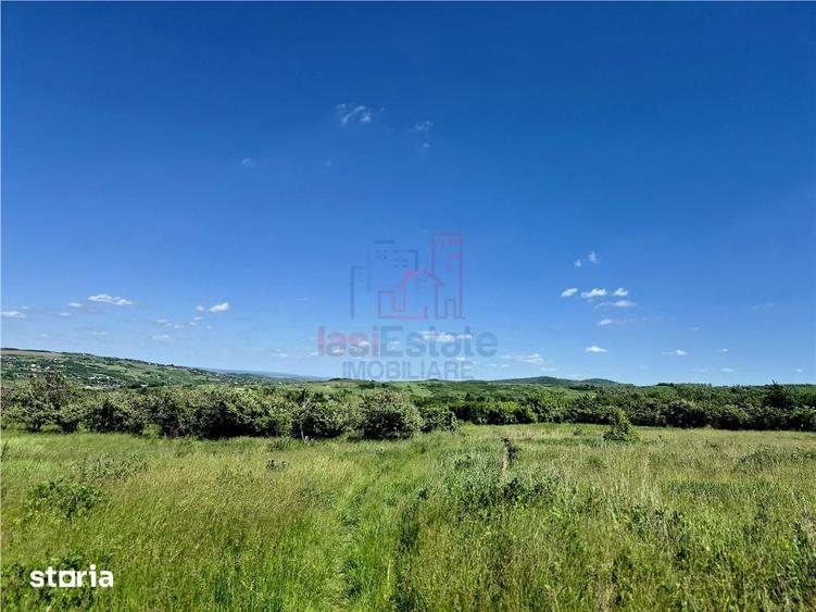 Teren de 800 mp, în Goruni