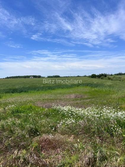 Teren intravilan, 1200 mp – Cârcea, zona Veropan (Depozitul legume-fructe)