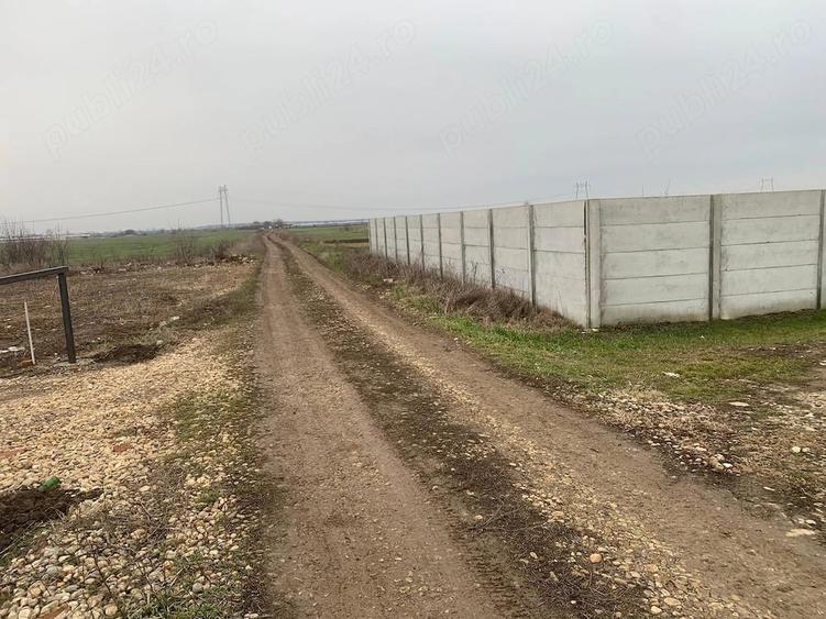 Teren de 330 mp, în Săbăreni