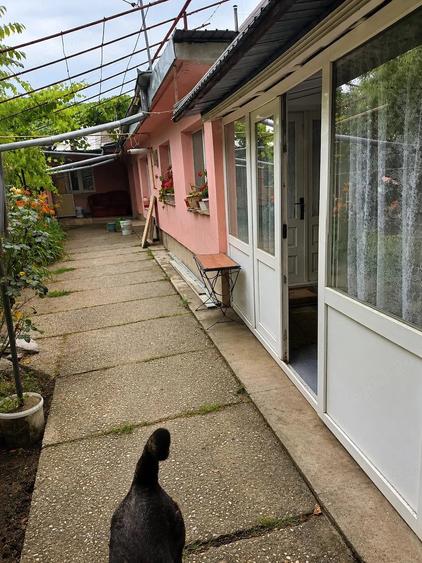 Casa ?i Teren 473 mp, Voluntari Deschidere Uria?a 18.85 m - 3