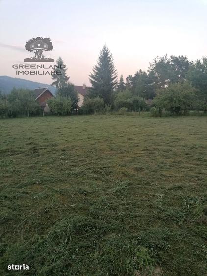 Teren de 1700 mp, în Ceahlău