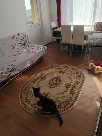 Apartament cu 4 camere decomandat, mobilat în Militari