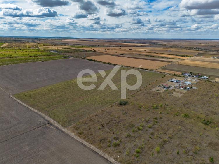Teren agricol intravilan de 23000 mp, în Buziaș