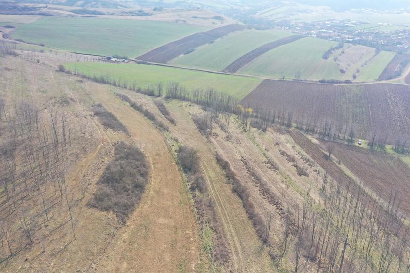 Teren agricol de 5500 mp, în Ciugud