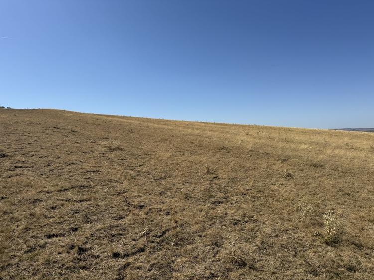 Teren Construcții intravilan de 945 mp, în Jucu de Sus