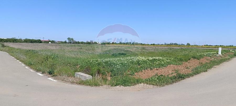 Teren Construcții intravilan de 980 mp, în Ciolpani
