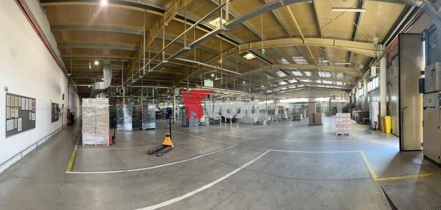 Spațiu industrial, de 7,250 mp, în Șagului