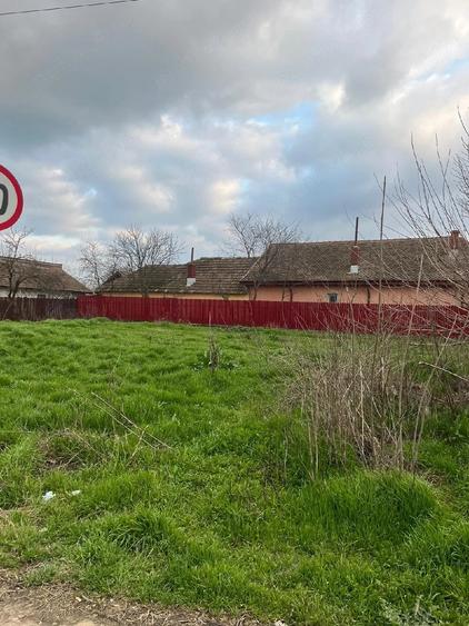 Teren de 513 mp, în Borcea