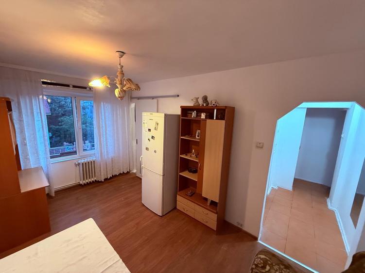 Apartament cu 2 camere nedecomandat în Podu Roș