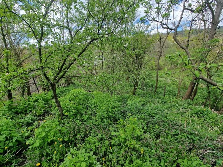 Casă individuală cu 5 camere cu Teren 1094 Mp în Valea Leurzii