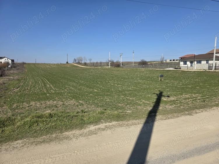 Teren de 9900 mp, în Malu Mare