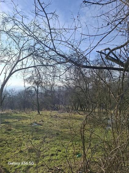 Teren de 2500 mp, în Căzănești