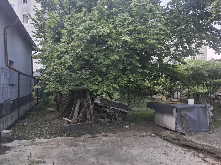 Spațiu comercial, în Griviței