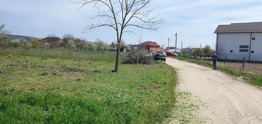 Teren de 500 mp, în Mărăcineni