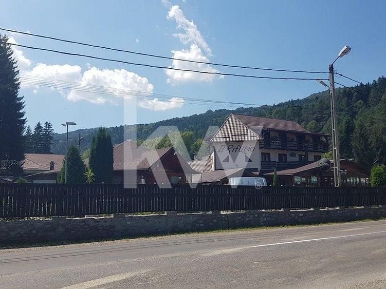 Teren Construcții intravilan de 19380 mp, în Brădet