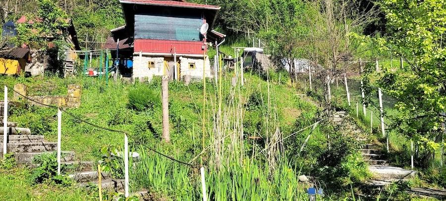 Casă cu Teren 1800 Mp în Cosmina de Sus