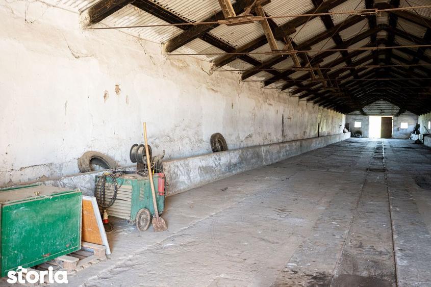 Spațiu comercial, de 734 mp, în Macea