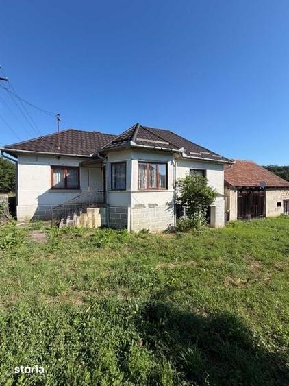 Casa de vanzare + curte 1900 m2 - 7