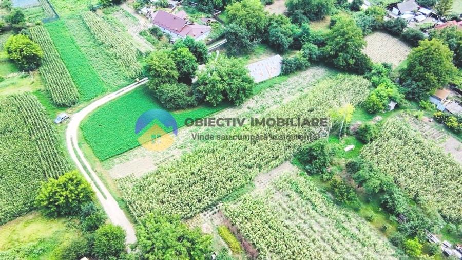 Teren intravilan de 4133 mp, în Boțești