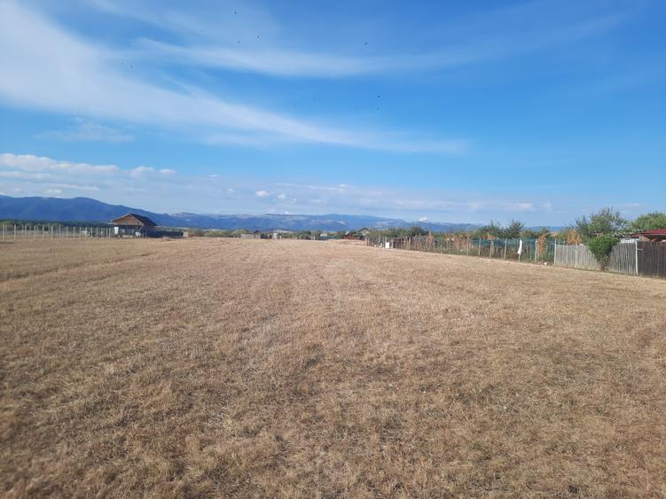 Teren agricol extravilan de 1500 mp, în Șelimbăr