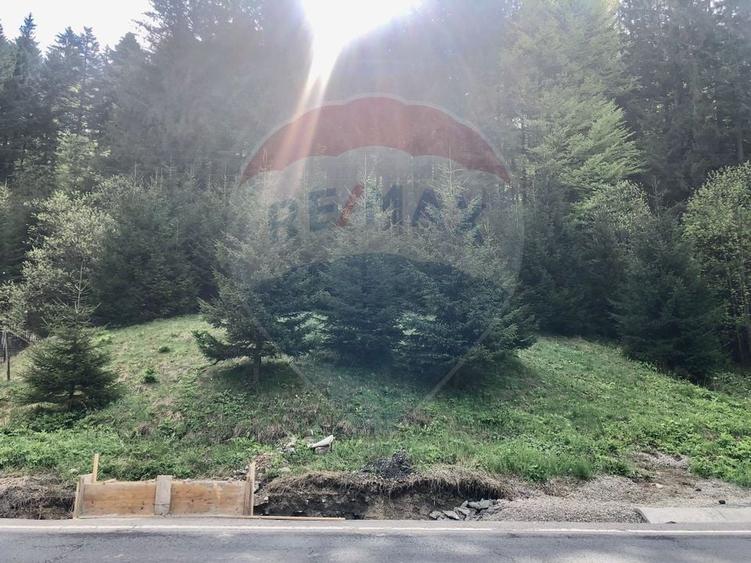 Teren Construcții intravilan de 1105 mp, în Malul Ursului
