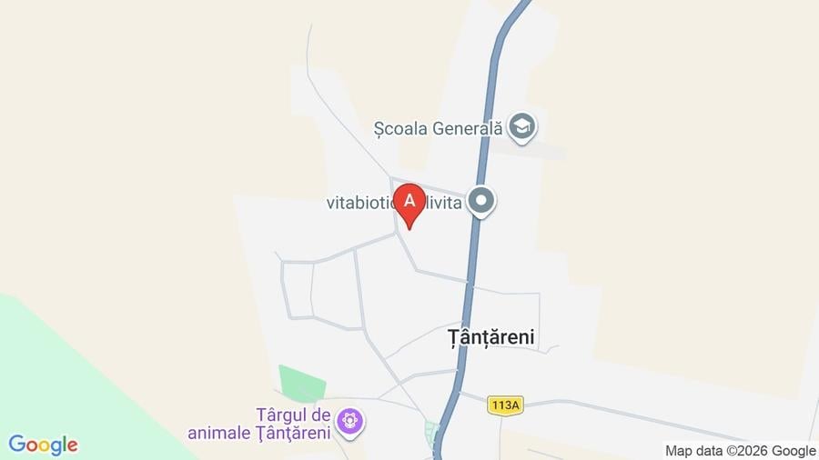 Casă individuală cu 5 camere cu Canalizare în Țânțăreni