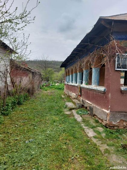 Casa cu teren 700mp (+ 7000 mp extravilan) si padure 2500mp