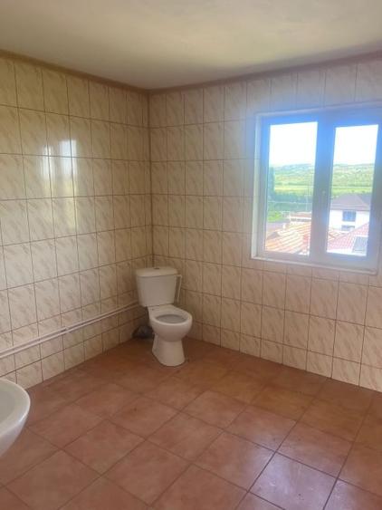 Casa 300 mp,afacere (cămin bătrâni, pensiune), zona Breasta - 20