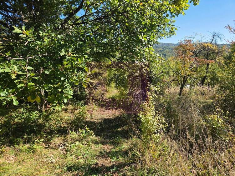 Teren agricol extravilan de 10452 mp, în Șotrile