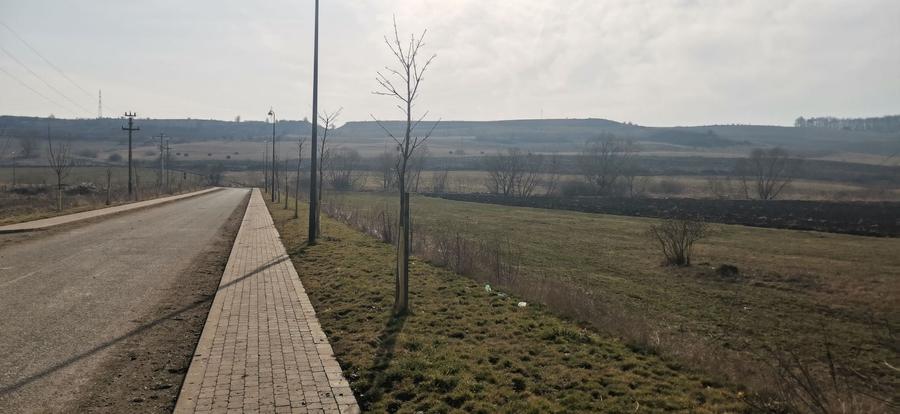 Teren Construcții extravilan de 1500 mp, în Băbuțiu